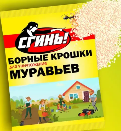 Фото товара СГИНЬ! Борные крошки от муравьев 70гр пакет) /4640027812338/ — Krasavita.by