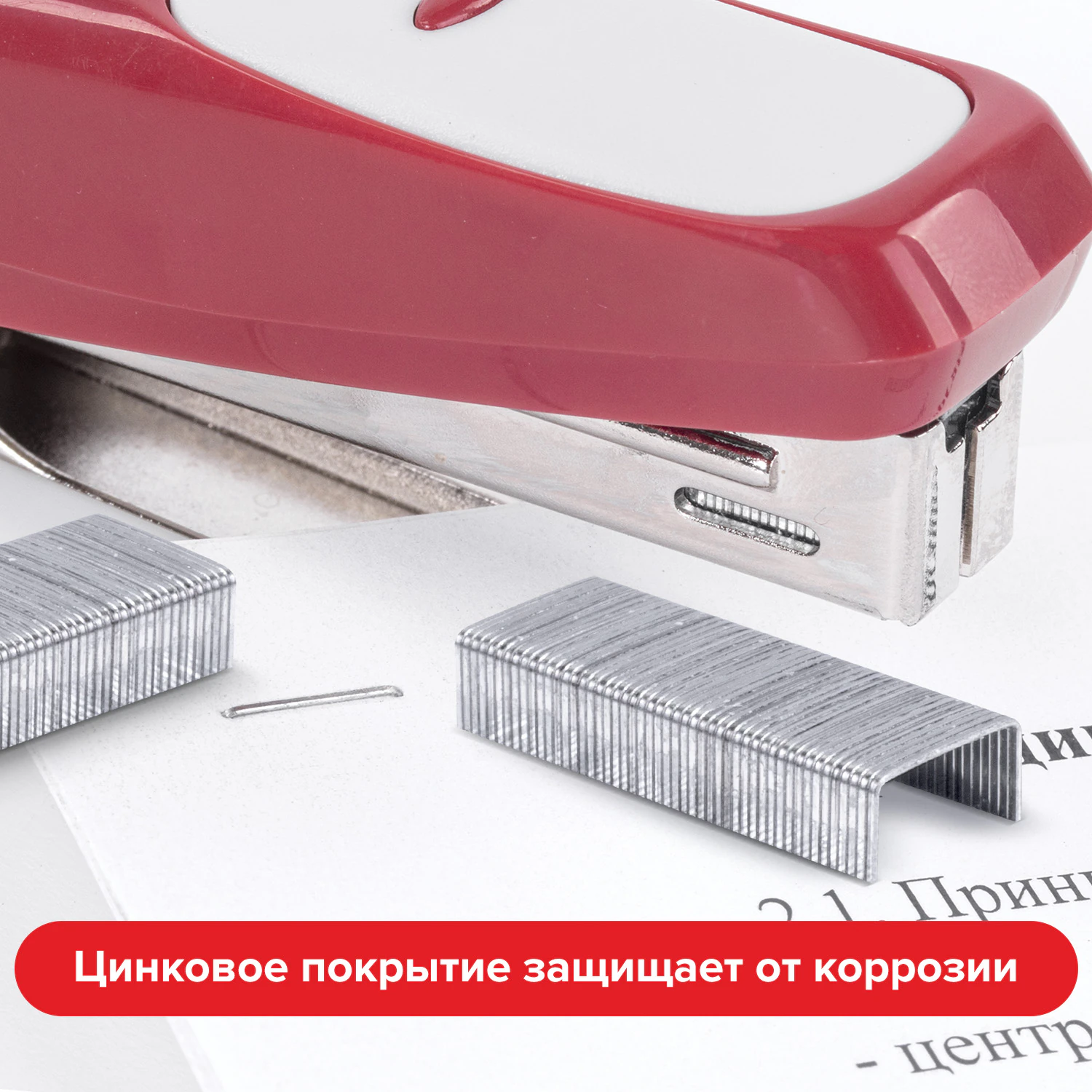 Фото товара Скобы для степлера №10 Staff — Krasavita.by